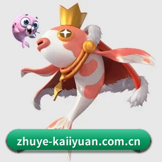 zhuye-kaiiyuan.com.cn APP 界面